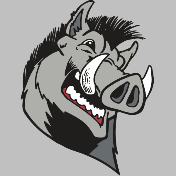 AR RAZORBACK 15 RC Thumbnail