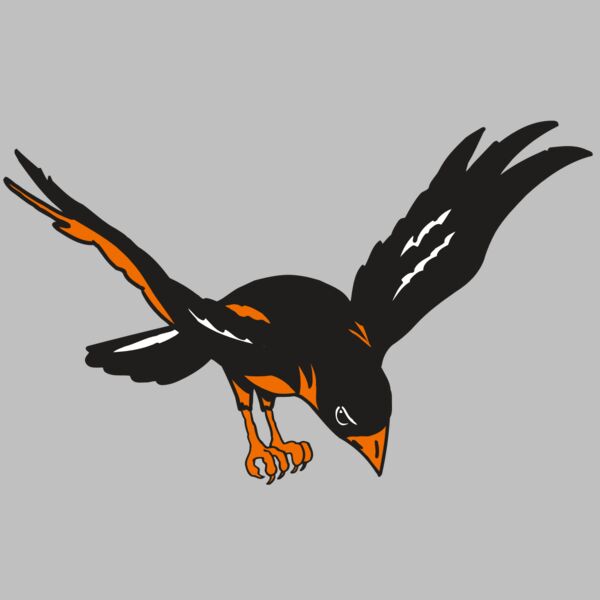 AR ORIOLE 16 RC Thumbnail