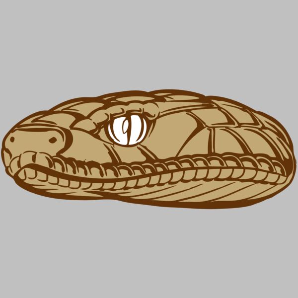 BAW SNAKE 12 RC Thumbnail