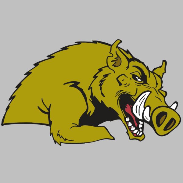 AR RAZORBACK 23 RC Thumbnail