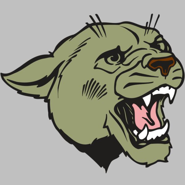 AR COUGAR 40 RC Thumbnail