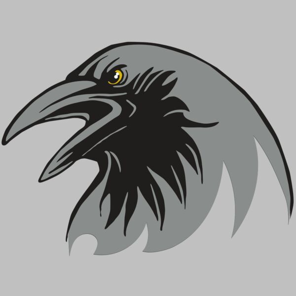 AR31 RAVEN 02 RQC Thumbnail