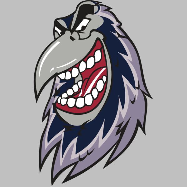 RAVEN HD0503 RQC Thumbnail