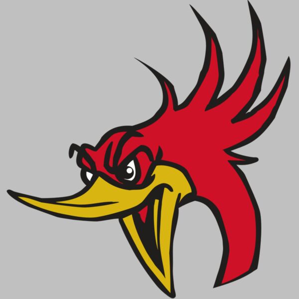 AR31 ROADRUNNER 02 RQC Thumbnail