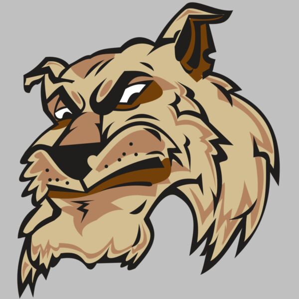 WILDCAT HD0501 RQC Thumbnail