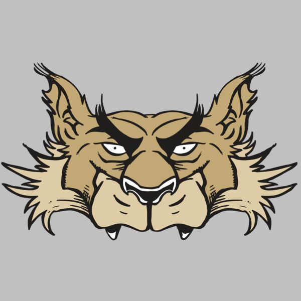 AR5 Wolf 28 RQC Thumbnail