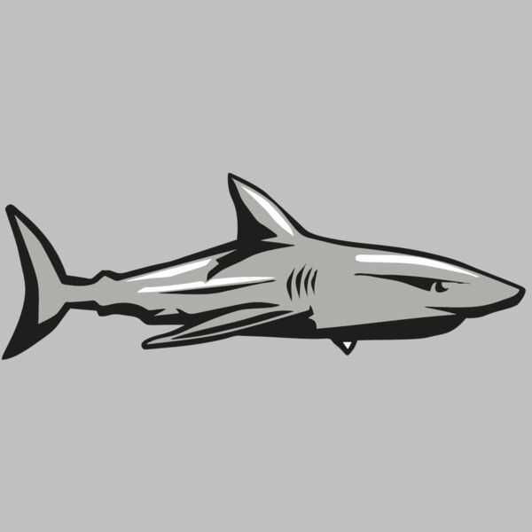 AR9 SHARK 01 RQC Thumbnail