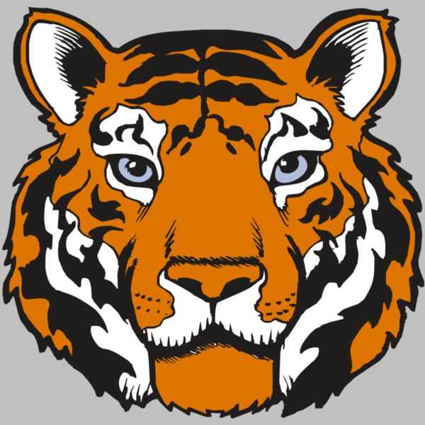 BAW TIGER 02 RC Thumbnail