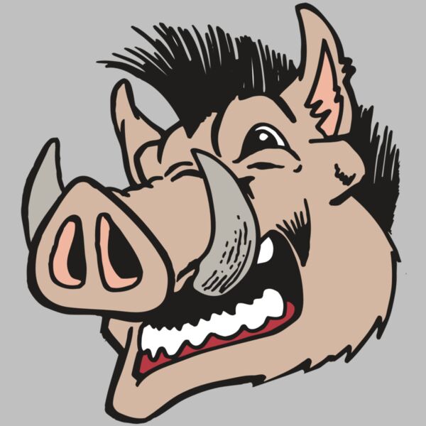 AR RAZORBACK 18 RC Thumbnail