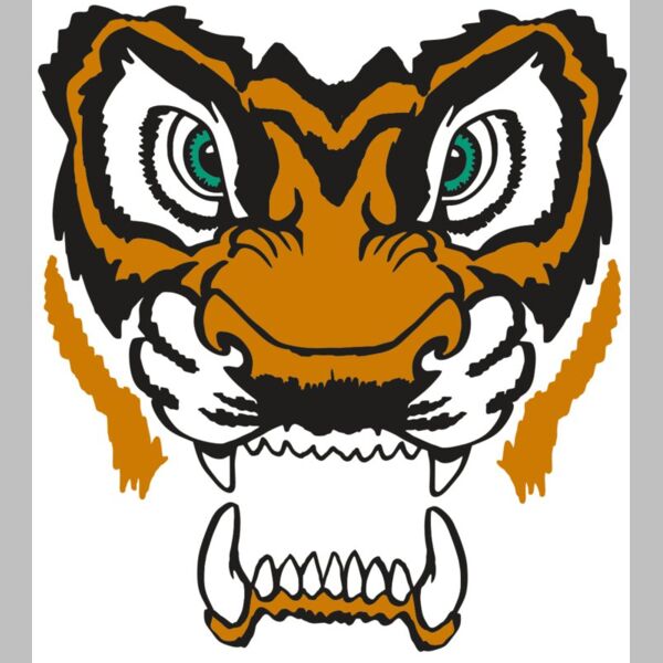 AR TIGER 11 RC Thumbnail