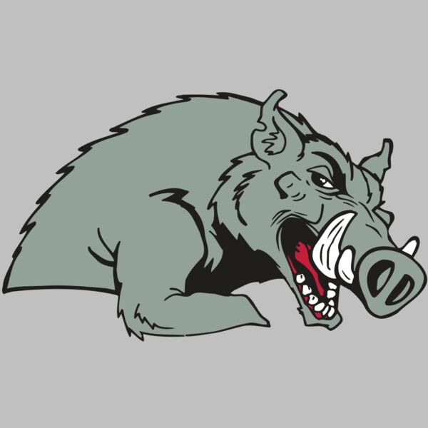 AR RAZORBACK 14 RC Thumbnail