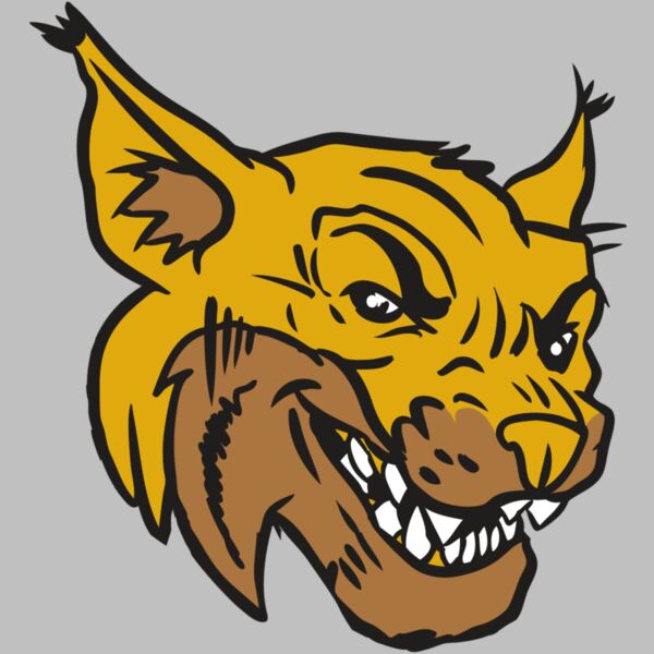 AR15 WILDCAT 01 RQC Thumbnail