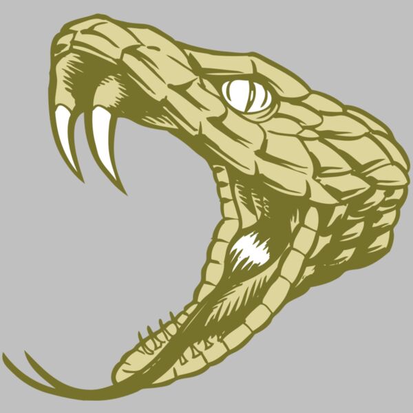 BAW SNAKE 11 RC Thumbnail