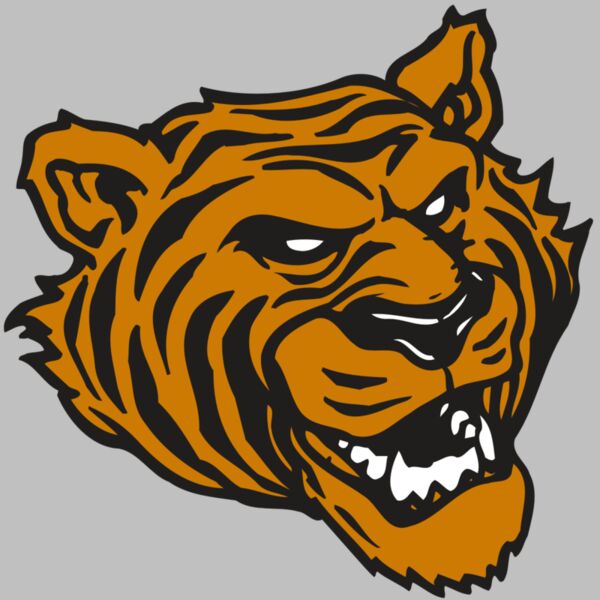 AR TIGER 43 RC Thumbnail