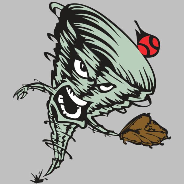 BAW STORM 09 RC Thumbnail