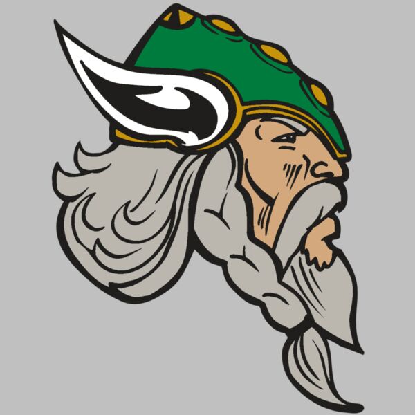 AR VIKING 49 RC Thumbnail