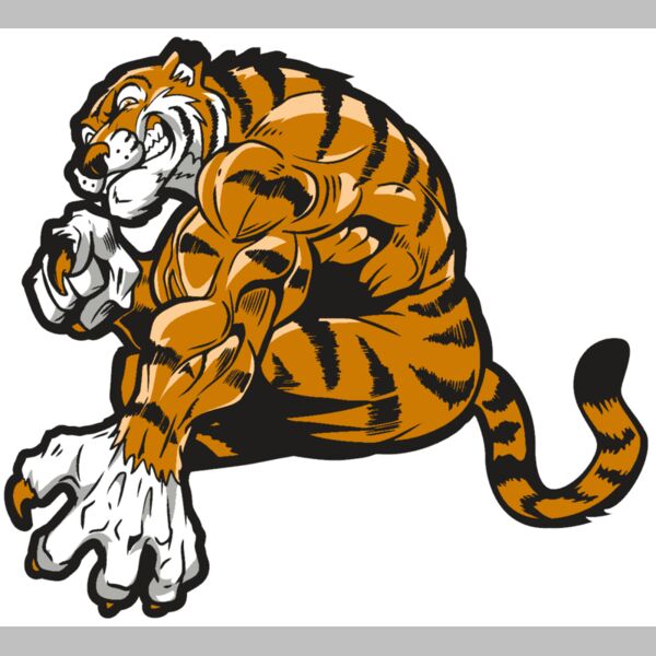 AR4 TIGER 09 RQC Thumbnail