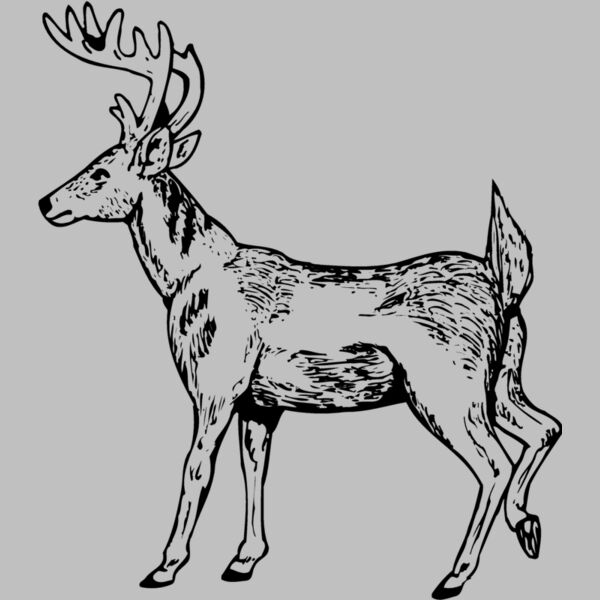 DEER019 Thumbnail