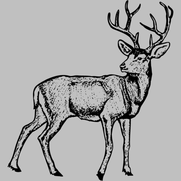 DEER029 Thumbnail