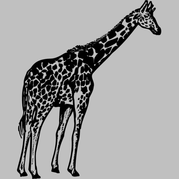 GIRAFF02 Thumbnail
