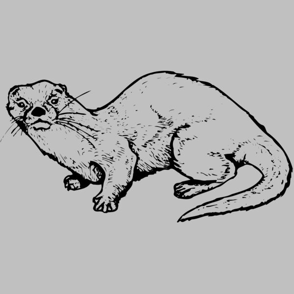 OTTER002 Thumbnail