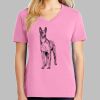 Ladies Core Cotton V Neck Tee Thumbnail