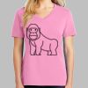 Ladies Core Cotton V Neck Tee Thumbnail