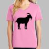 Ladies Core Cotton V Neck Tee Thumbnail