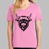 Ladies Core Cotton V Neck Tee Thumbnail