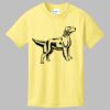 Best Selling Youth Cotton Tee Thumbnail