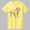 Best Selling Youth Cotton Tee Thumbnail