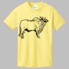 Best Selling Youth Cotton Tee Thumbnail