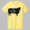 Best Selling Youth Cotton Tee Thumbnail