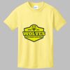 Best Selling Youth Cotton Tee Thumbnail